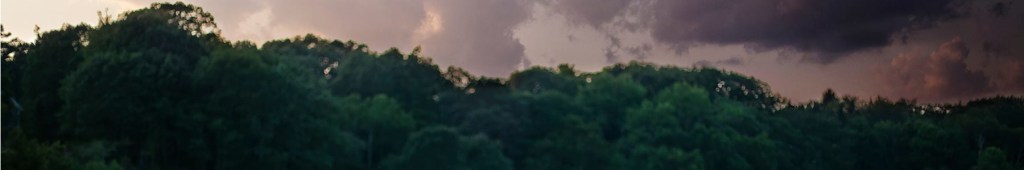 Not all doom and&nbsp;gloom